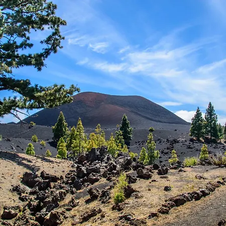 Phoenix Appartement *