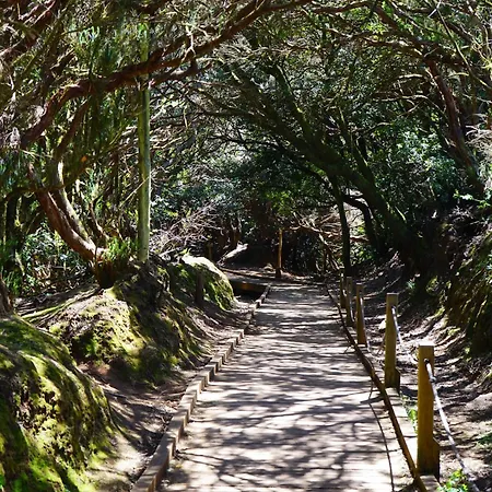 Phoenix Appartement *